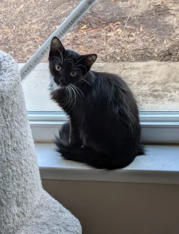 Soup