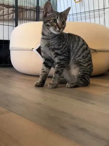 Bruce