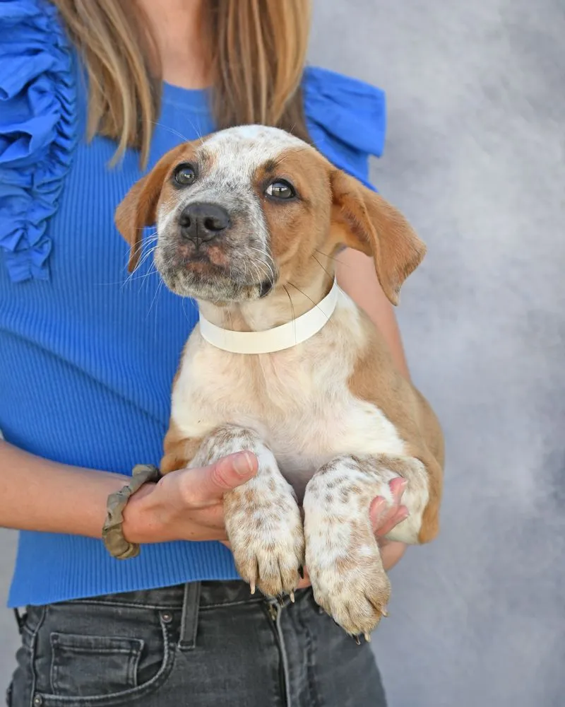 Penelope - Photo 1