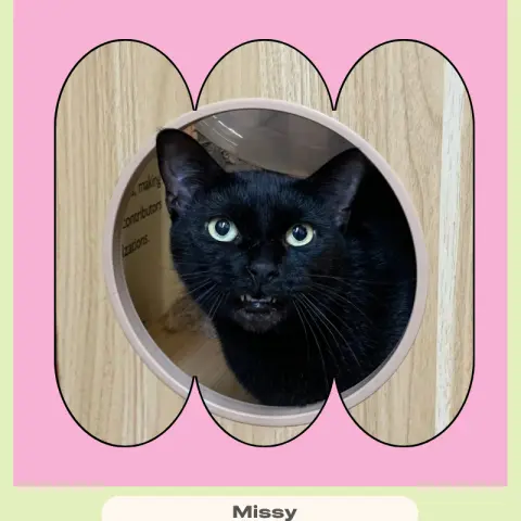 Missy
