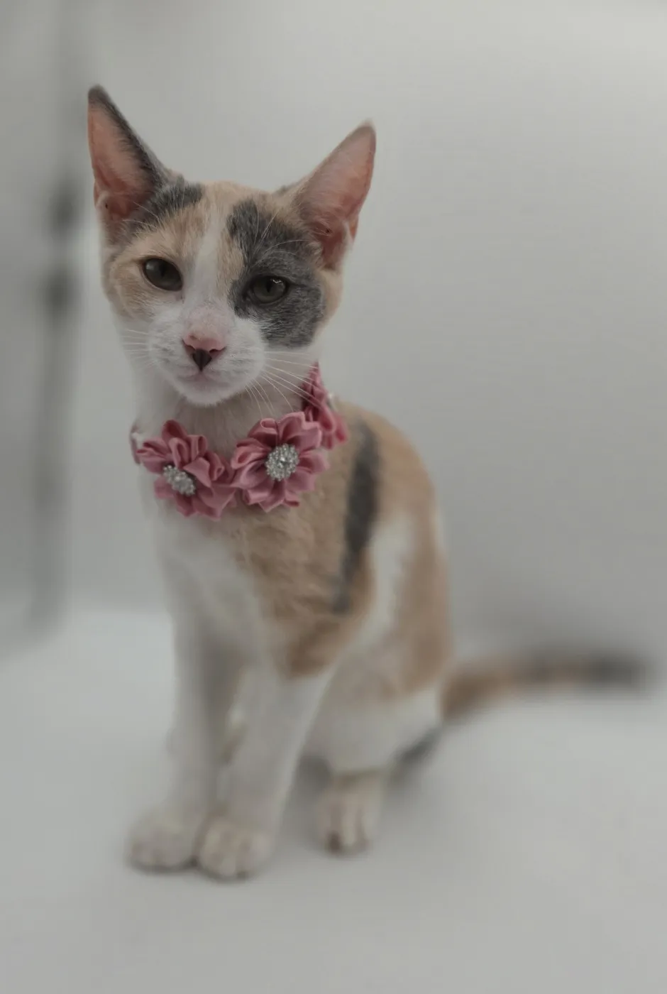 Winnie - Photo 1