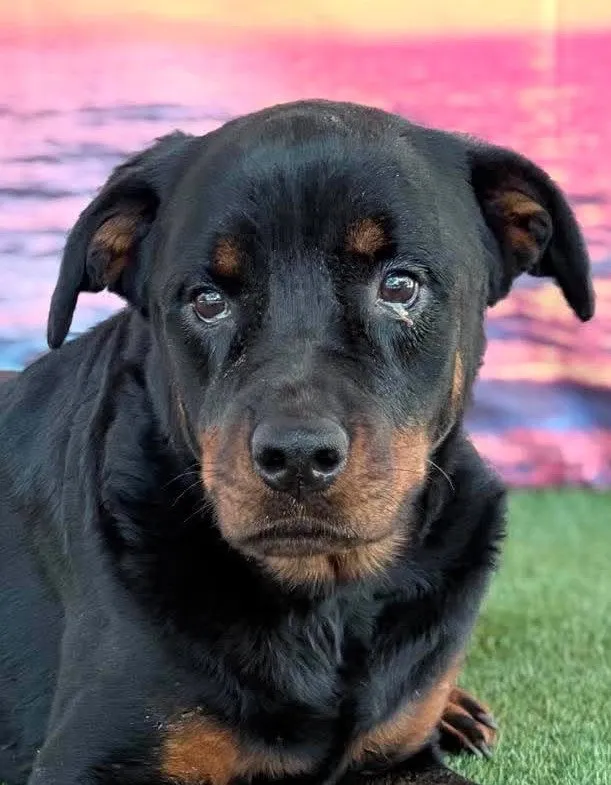 Delilah - Photo 1