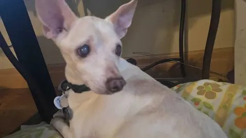 Vinny