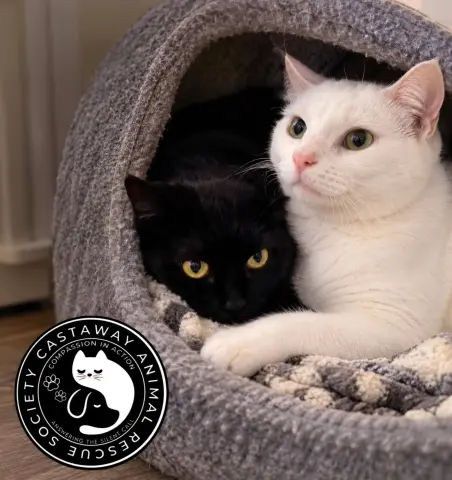 Everest and Lumi