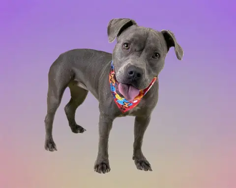 Riley