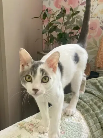 Milton