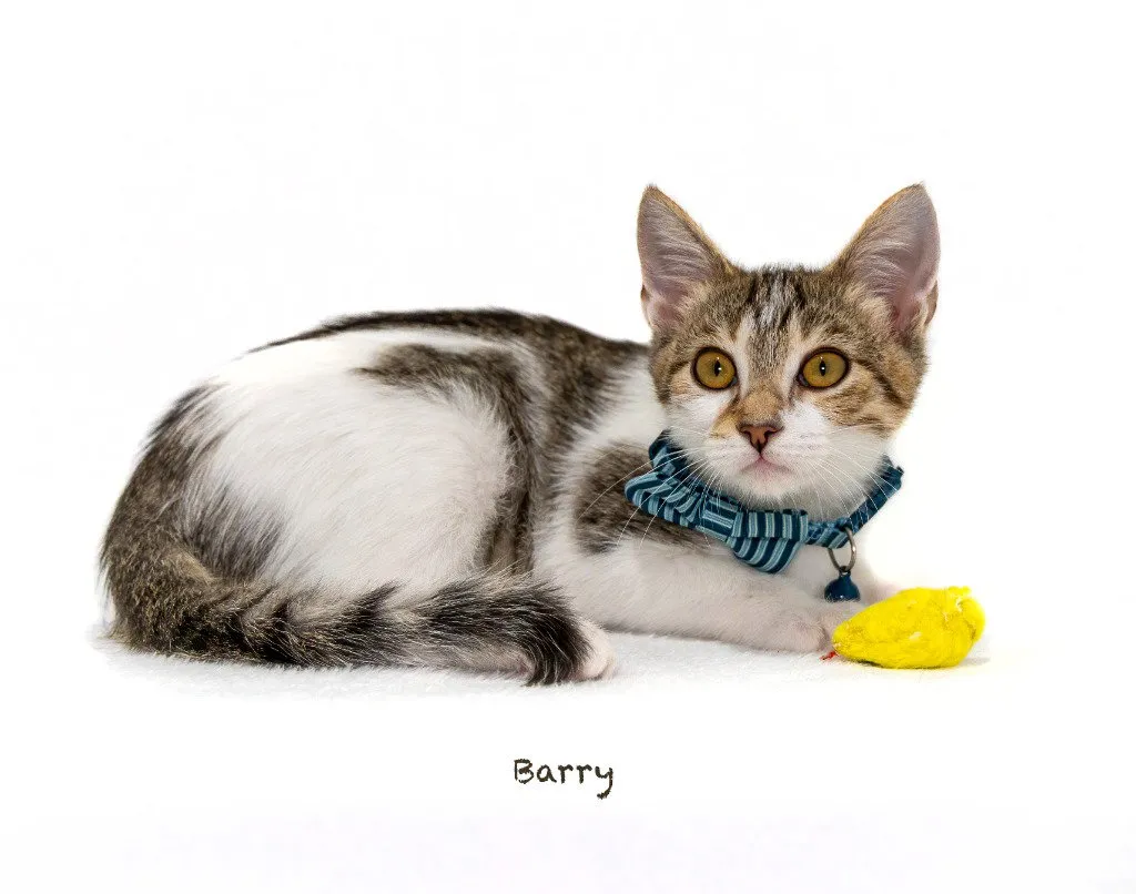 Barry - Photo 1