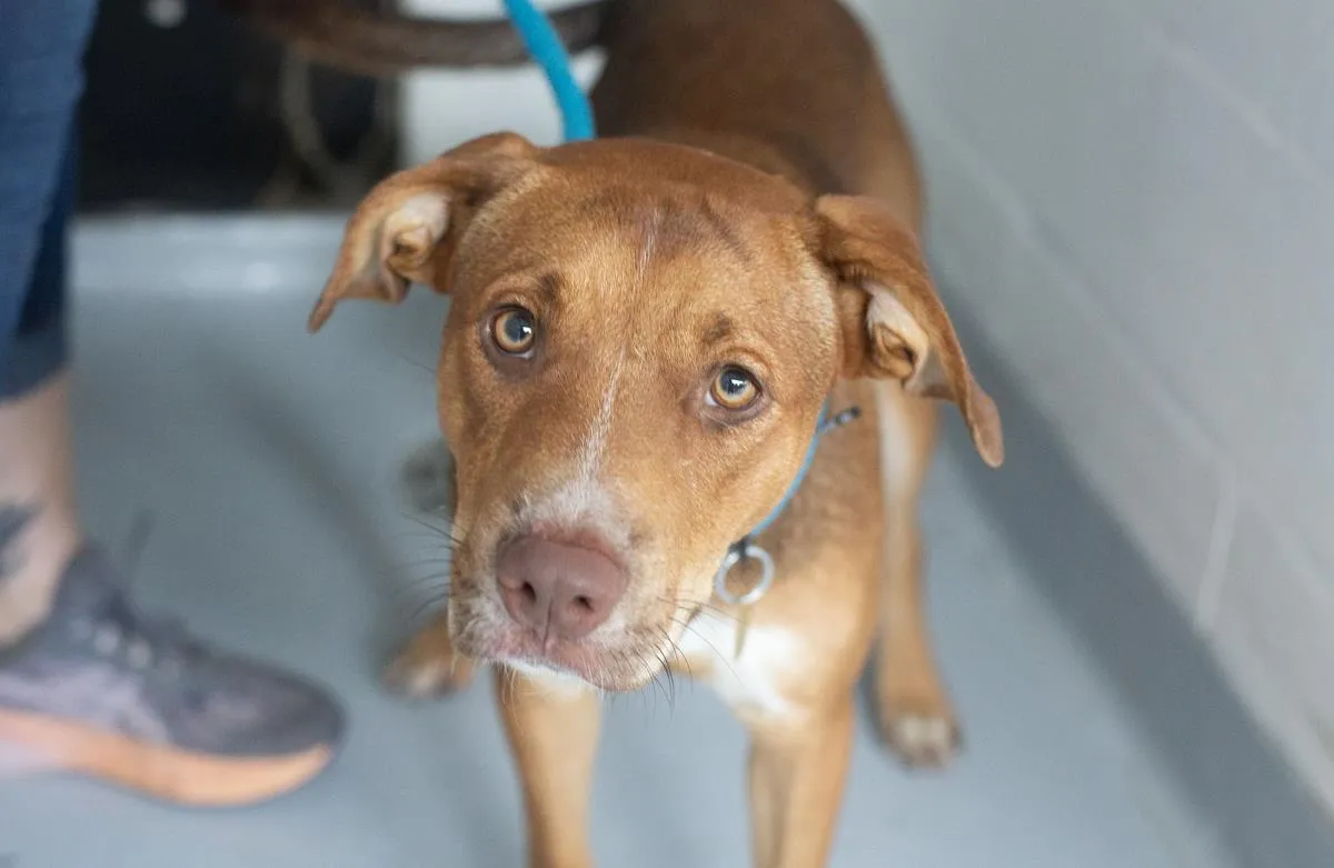 Zeus - Photo 1