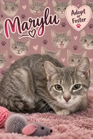 Marylu