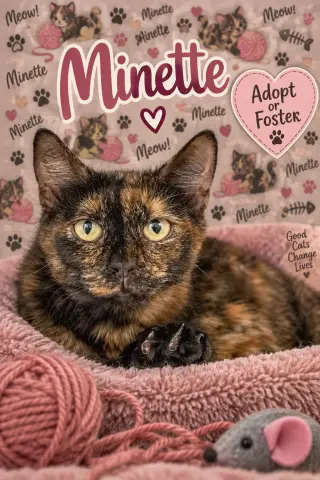 Minette
