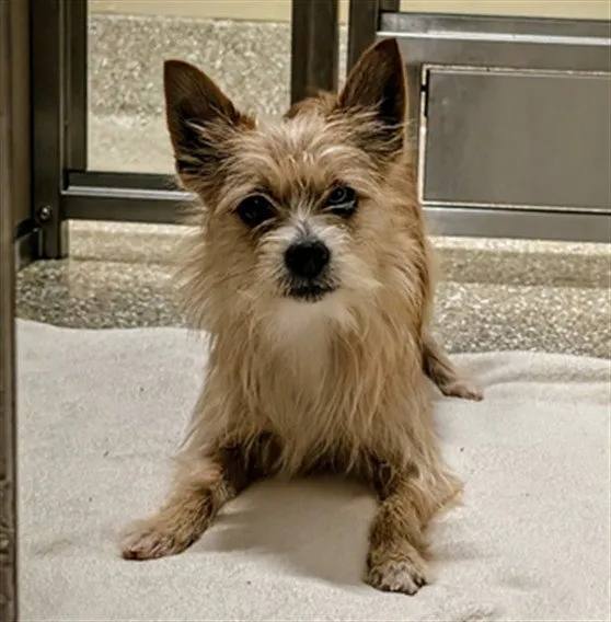 Rigby - Photo 1