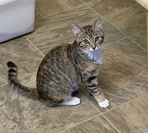 Tina