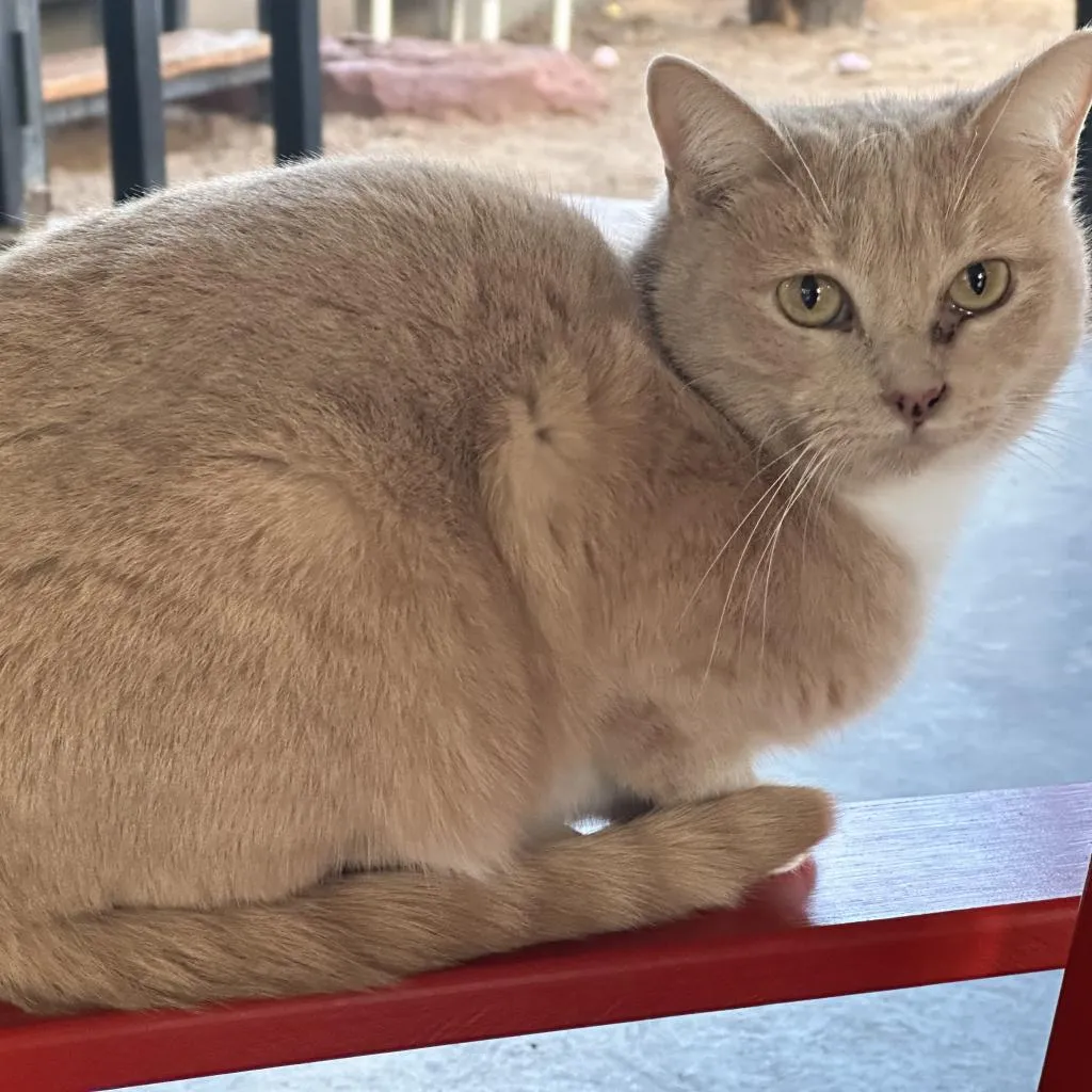 Maybelline - Photo 3