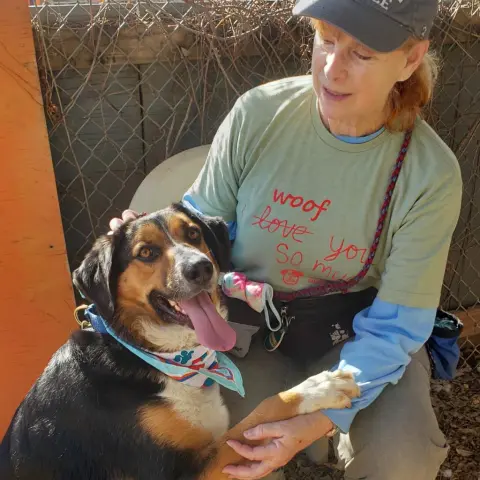 Schroeder thumbnail 4