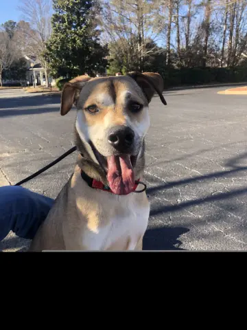 Nathaniel thumbnail 2