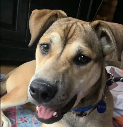 Nathaniel thumbnail 3