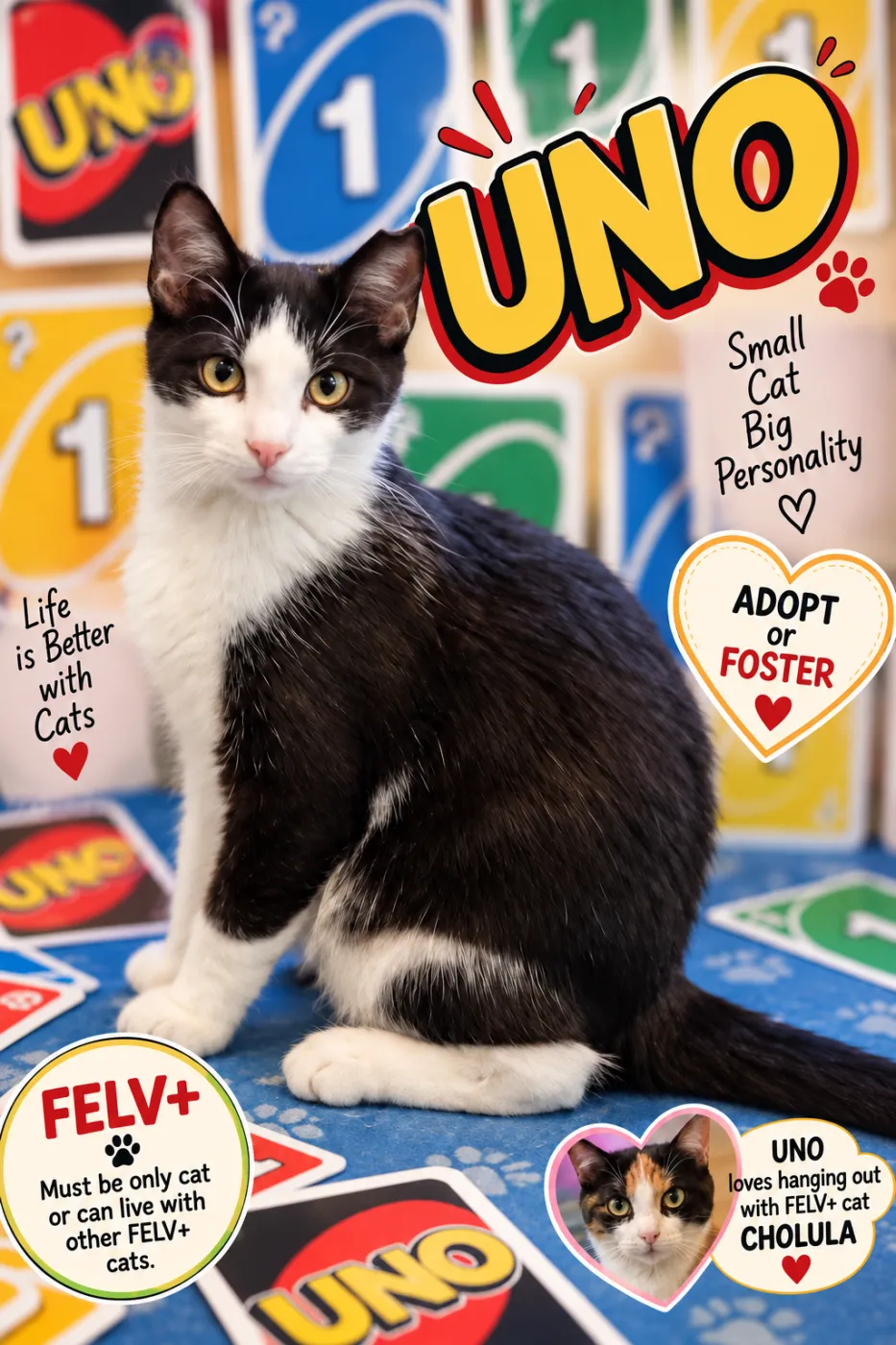 Uno - Photo 1