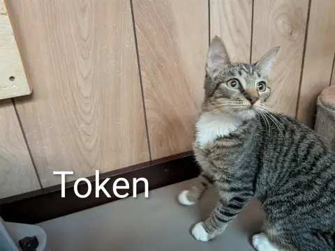 Token