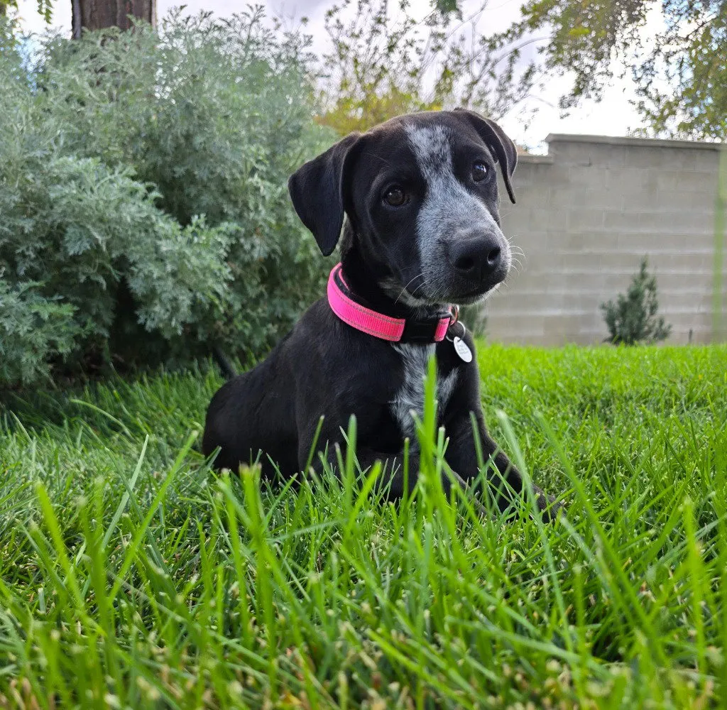 Mazzy - Photo 1