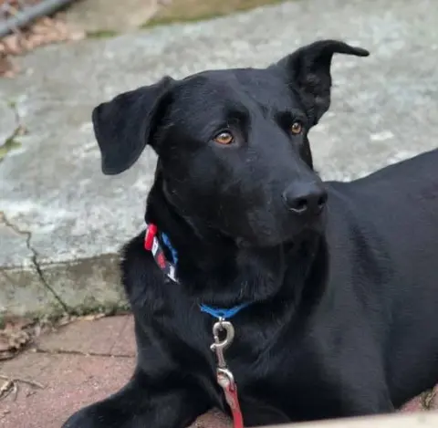 Mac Davis thumbnail 2