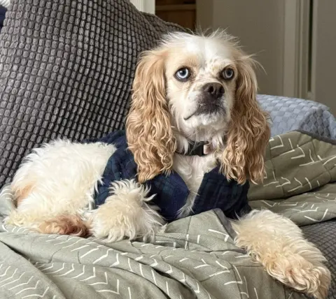 Daisy