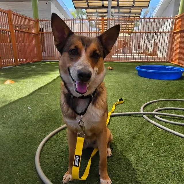 Grecia - Photo 1