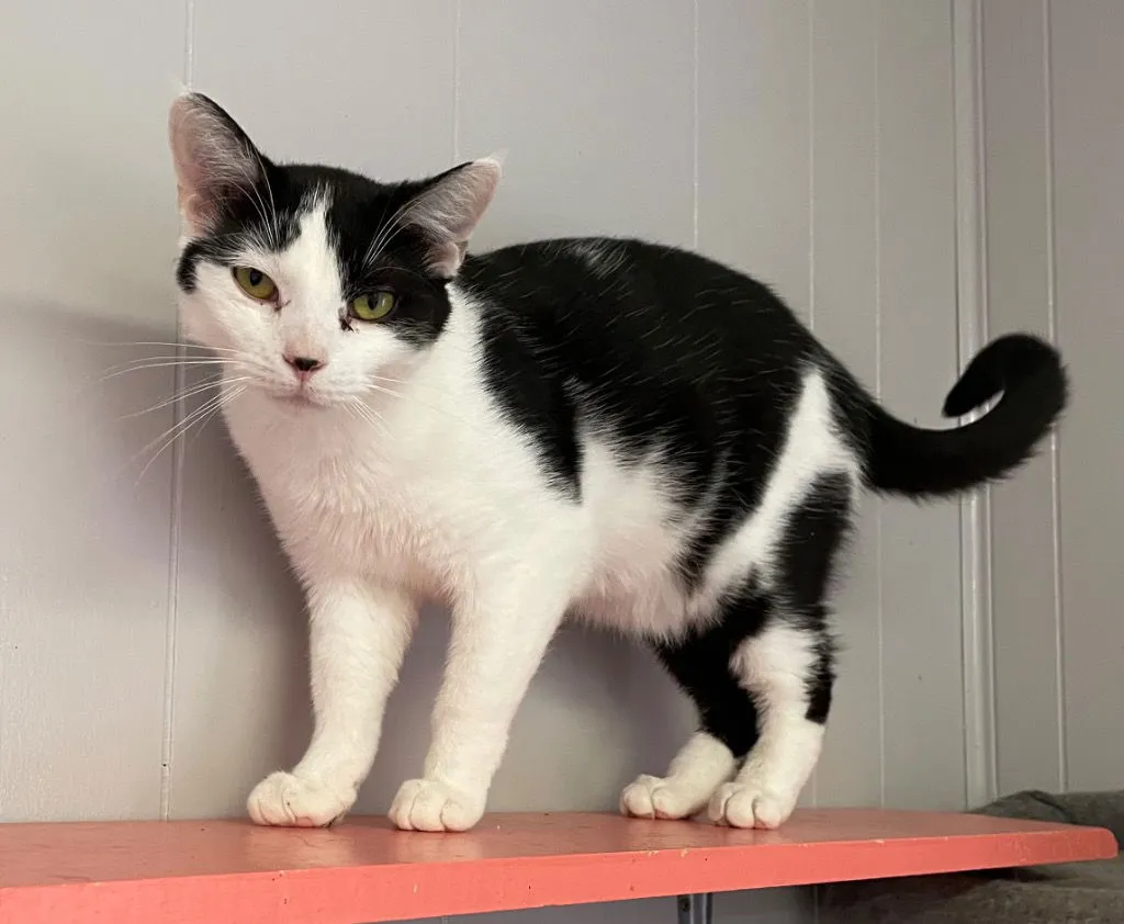 Thingamabob - Photo 1