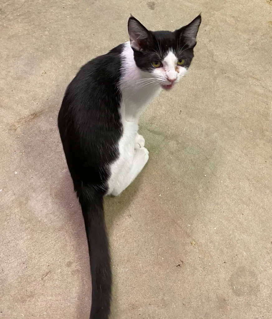 Thingamajig - Photo 3