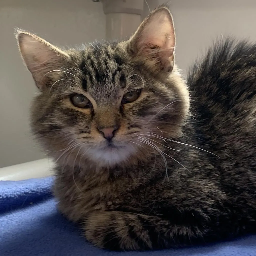 Wally - Photo 1