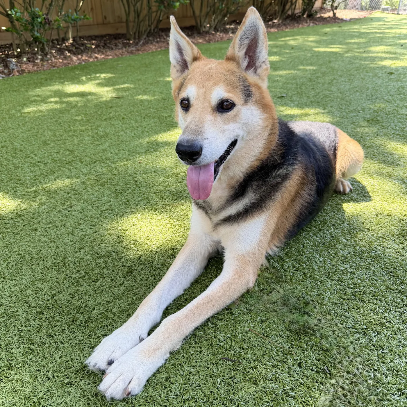 Max - Photo 1