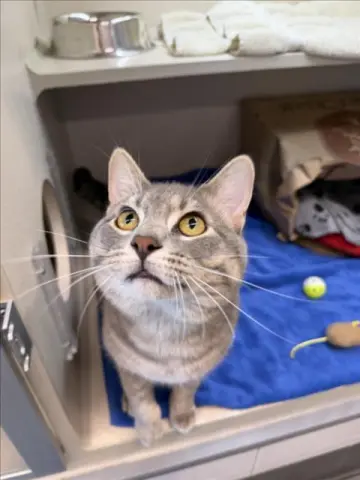 Tom