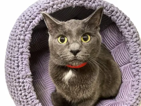 Mimi