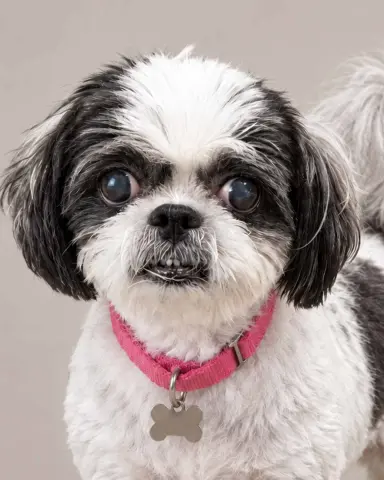 Edna