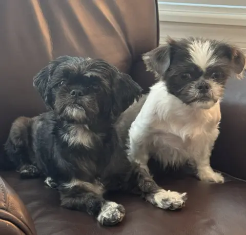 Violet & Fiona