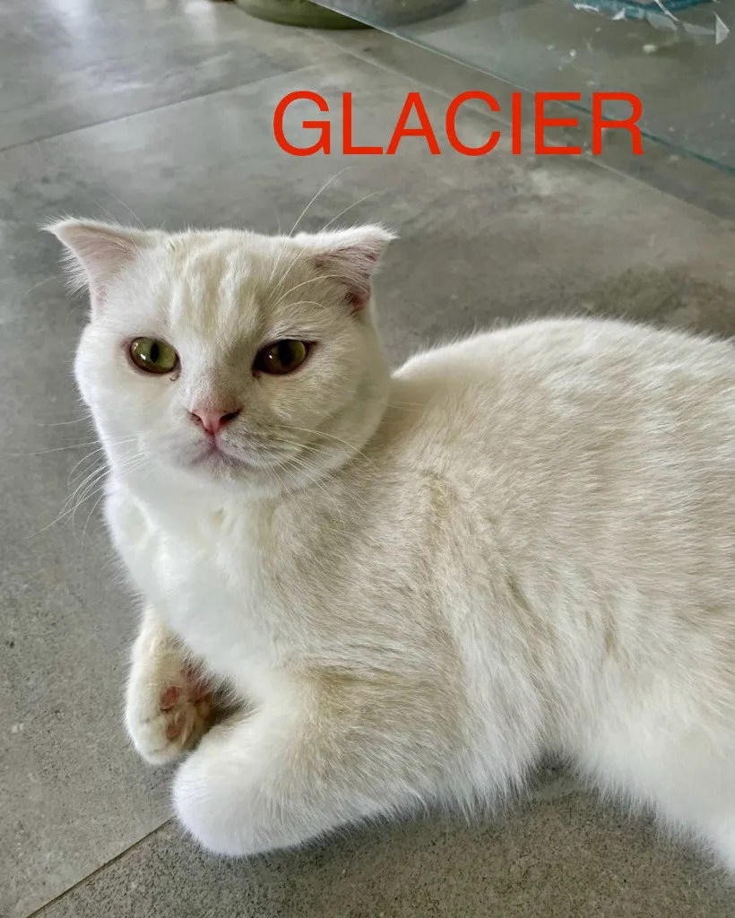 Glacier - Photo 1
