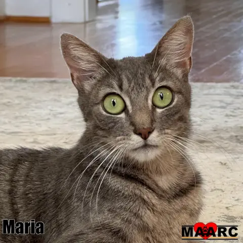 Maria