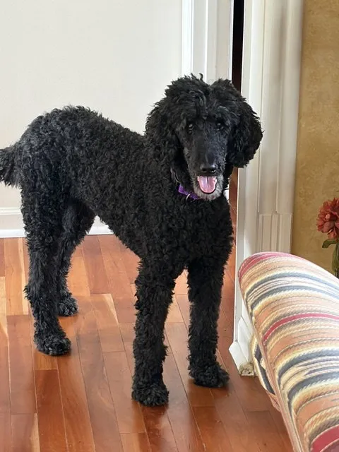 Maggie - Photo 1