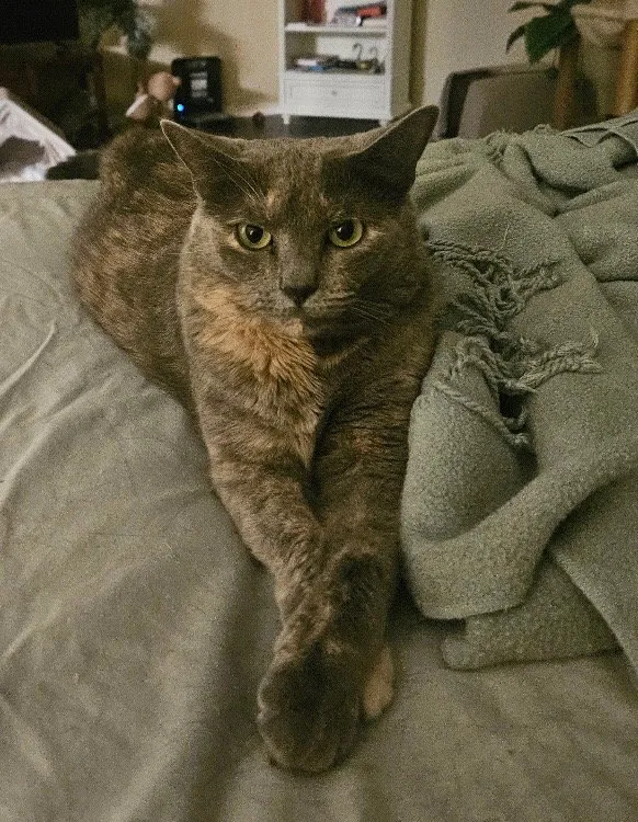 Lily - Photo 1