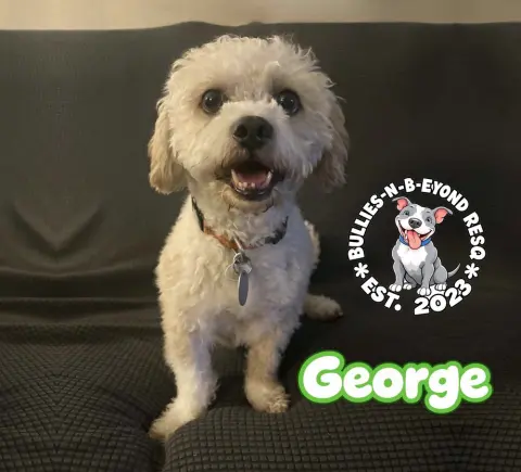 George