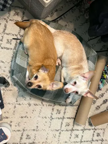 Suzie & Blanca