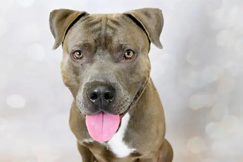 Roscoe