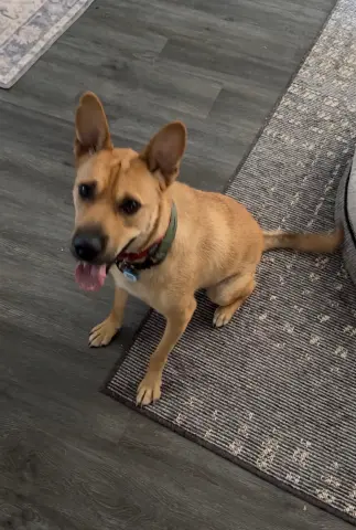 Buster