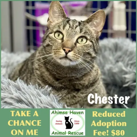 Chester