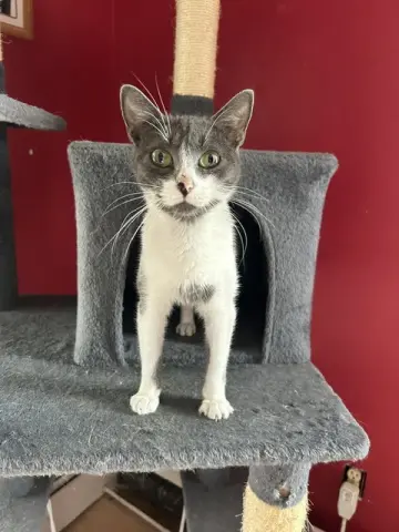 Mia