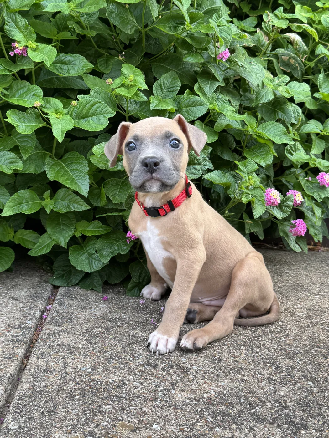 Wayne - Photo 1