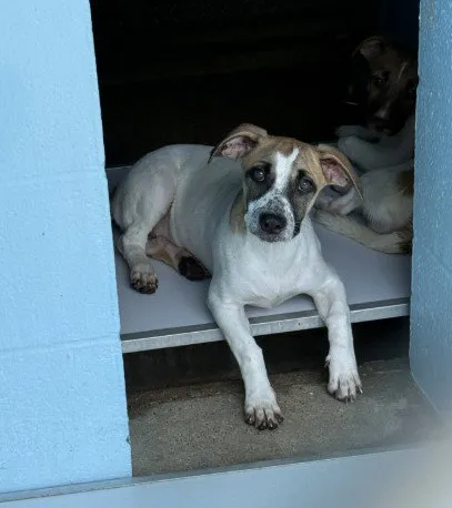 Sally - Photo 1