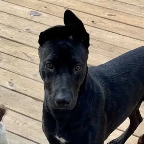 Mama