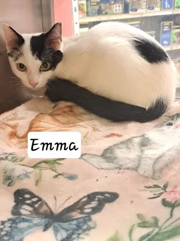 Emma