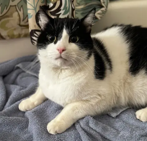 Alexander thumbnail 2