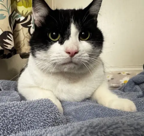 Alexander thumbnail 3